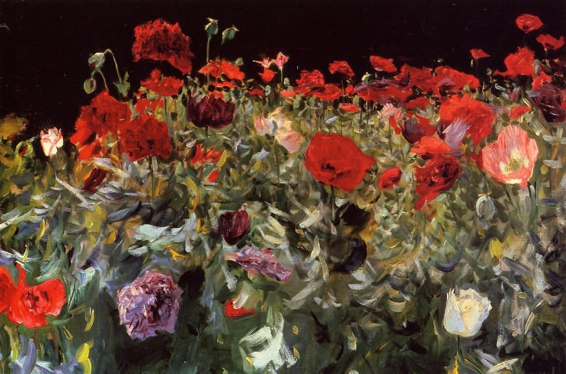 Mohnblumen