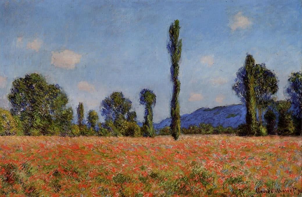 Mohnfeld