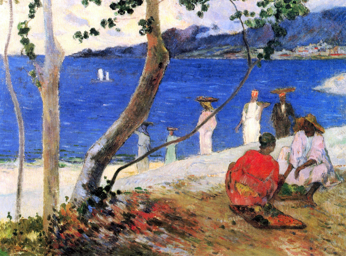 Küste Martinique