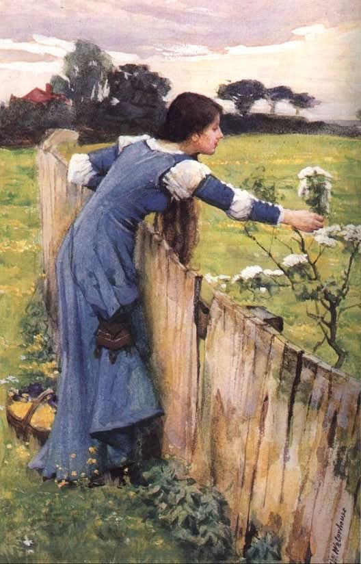 Der Blumenpflücker