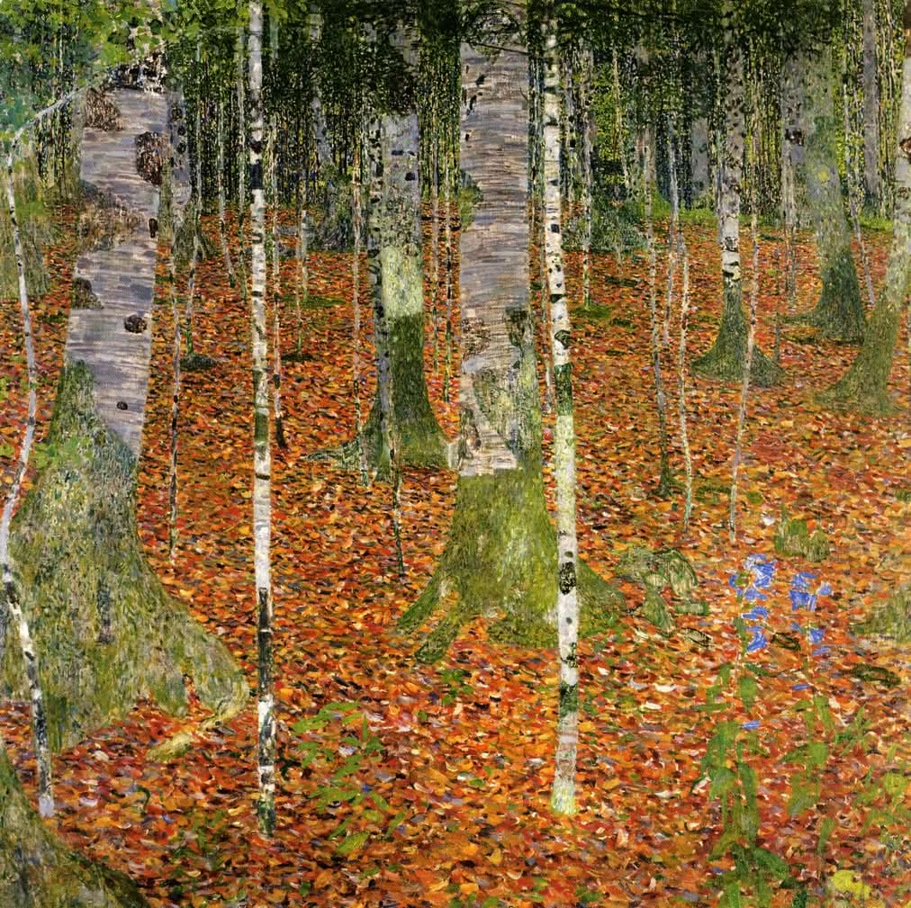 Birkenwald