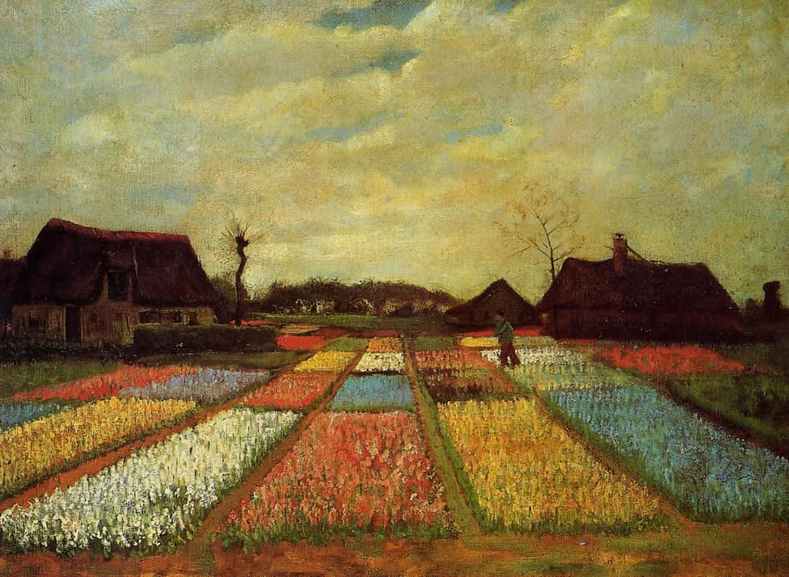 Blumenzwiebelfelder