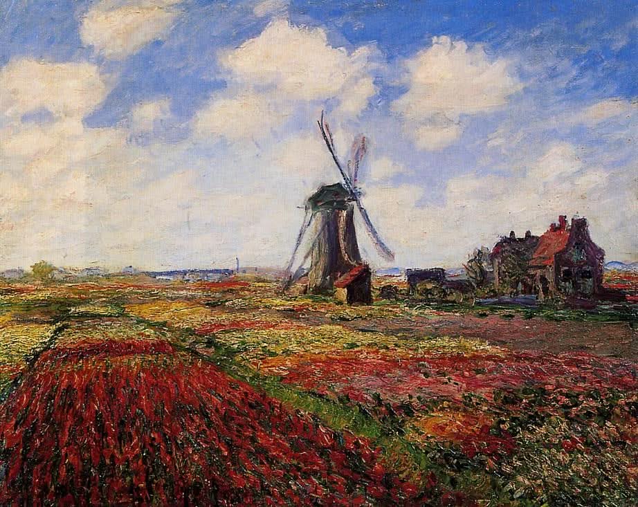 Tulpenfeld in Holland