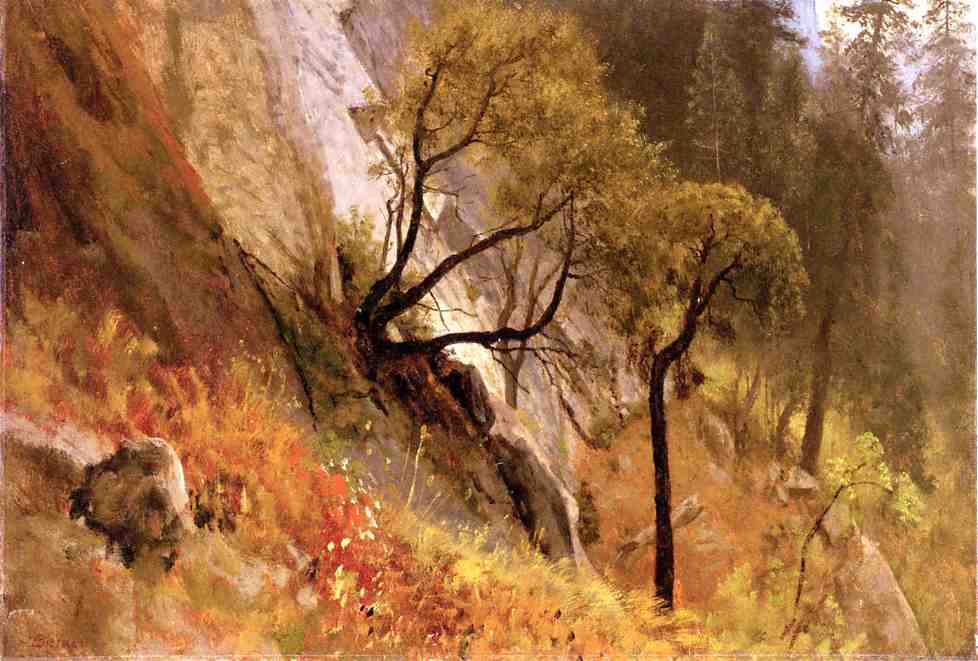 Landscape Study Yosemite California