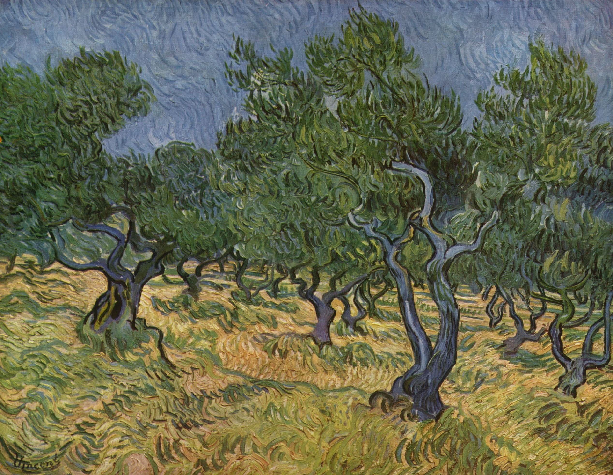 Plantage d'Oliviers 1 1889