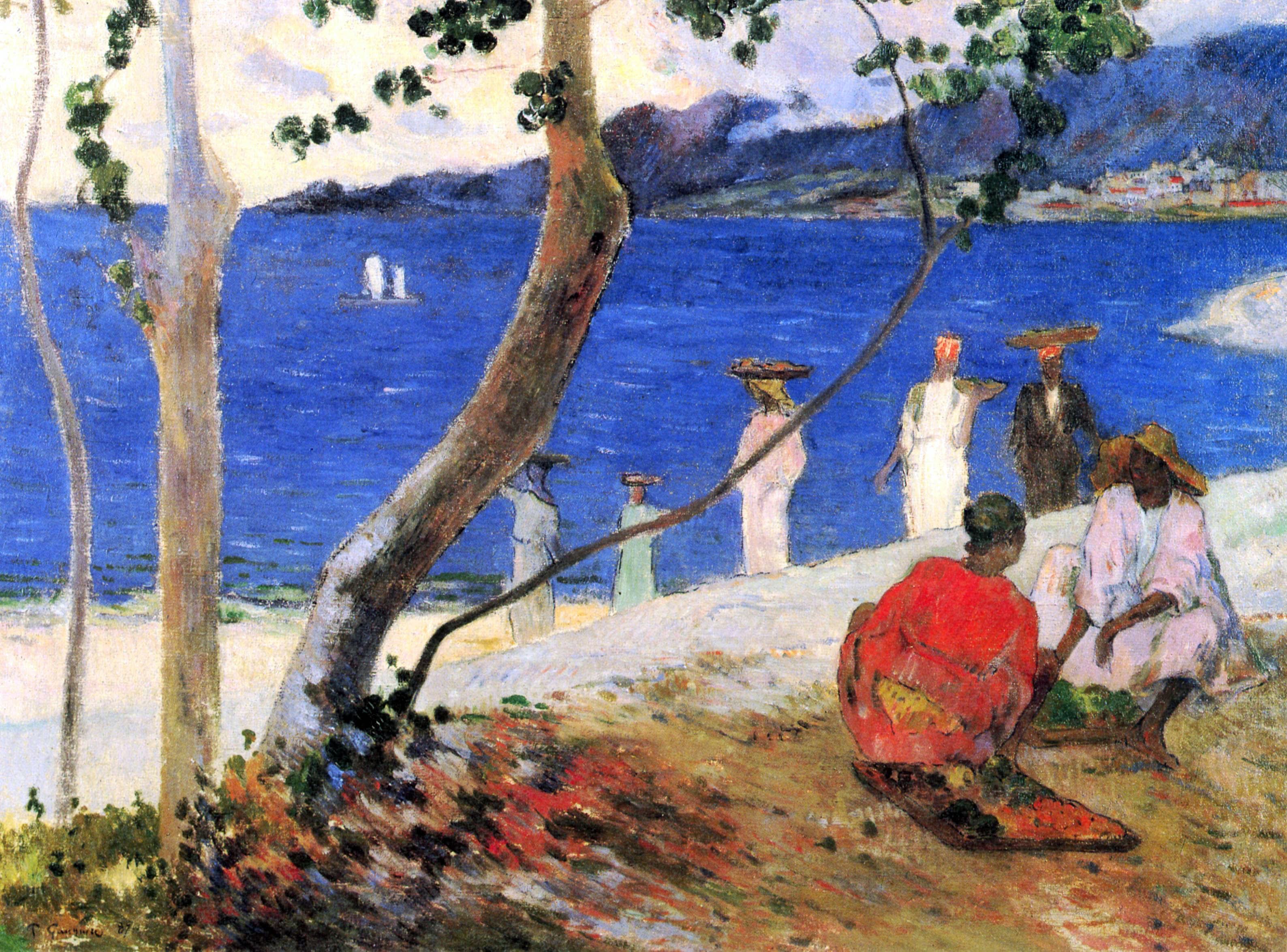 Küste Martinique