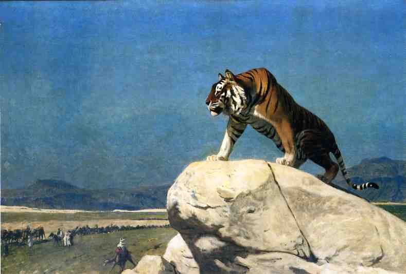 Tiger auf der Lauer